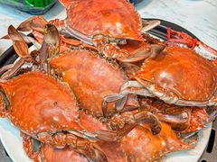 -半岛听涛蒸汽海鲜自助(K11店)