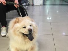 -宠颐生中康贝怡动物医院