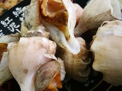 -小海丁