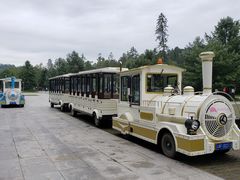 -五营红松林海景区