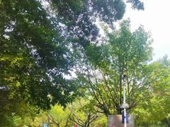 -广州莲花山旅游区