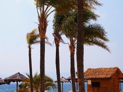 -月亮湾湿地公园