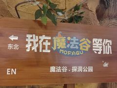-深圳龙华星河COCO City(民治店)
