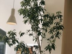 -浮光之丘MontCake生日蛋糕(花牌坊店)