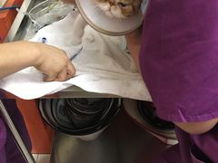 -惠康宠物医院(华能路店)