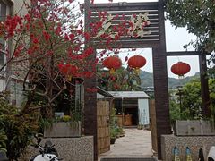 -先机泉水鸡汤(南山老君洞店)