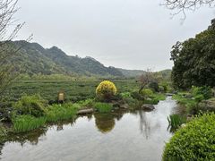 -中国茶叶博物馆(双峰馆区)