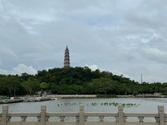 -顺峰山公园