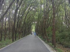 -同里国家湿地公园
