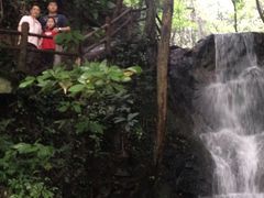 iphone_upload_pic-九溪烟树