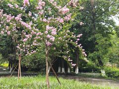 -沙河三洞古桥公园