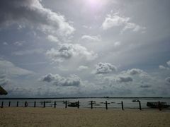 -北海金海湾红树林生态旅游区