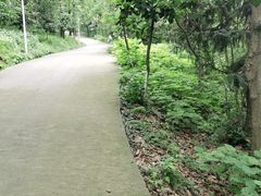 -南京金牛湖风景区