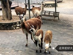 -西安秦岭野生动物园