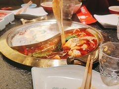 -熊喵来了火锅(长安万达第94分店)