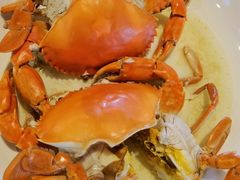 -崖口红树林海鲜餐厅