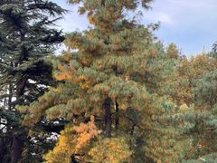 -国家植物园南园