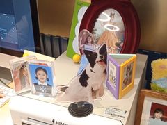 -海马体照相馆(大连柏威年购物中心店)
