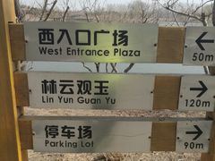 -东郊湿地公园