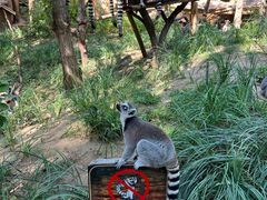 -北京野生动物园