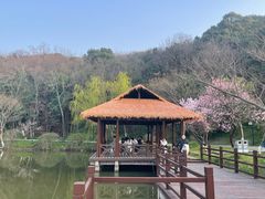 -采石矶景区