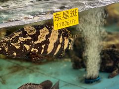 -食鼎记海鲜大排档(美食街店)