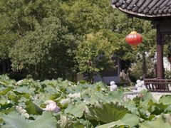 -丝绸小镇荻港古村