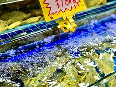 -大东海海鲜酒楼(渔人码头总店)