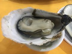 -蚝专家(北滘店)