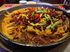 -老板恋上鱼(恒隆广场店)