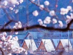 -九如山休闲旅游度假区