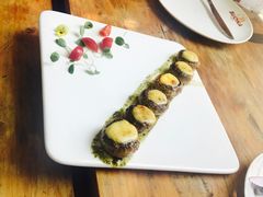 -百好乐宠物友好餐厅(朝外大街店)