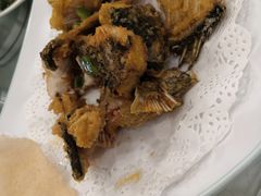 -寻味顺德·南记酒家·传统顺德菜·鱼生(广源路店)