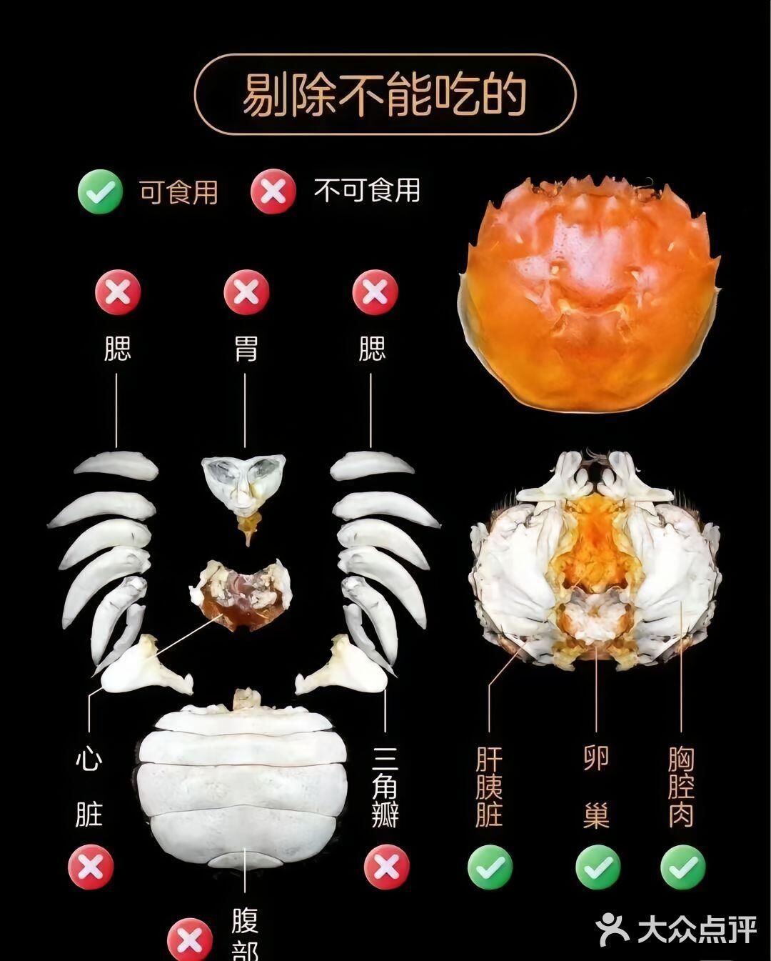 🐚🥢螃蟹大揭秘：手把手教你轻松拆螃蟹