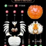 🐚🥢螃蟹大揭秘：手把手教你轻松拆螃蟹