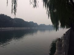 iphone_upload_pic-东兴顺爆肚张
