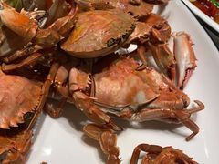 -金海湾海鲜排档(朱家尖店)