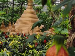 -南宫五洲植物乐园