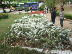 -南国桃园旅游度假区