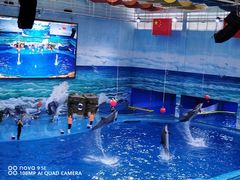 -多彩贵州城极地海洋世界