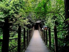 -凤栖山