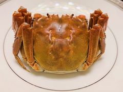 -新光酒家·河豚·海鲜·蟹料理(浦东店)