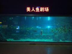 -福州罗源湾海洋世界旅游区