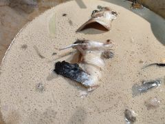 -云海肴云南菜·蒸汽石锅鱼(北京良乡华冠店)