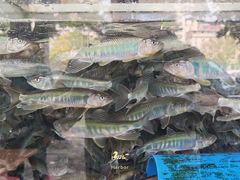 -山坑河鲜(昆仲楼店)