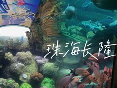 -珠海长隆海洋王国
