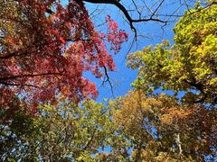 -吉林市朱雀山国家森林公园