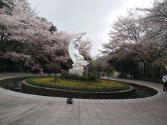 -杭州少年儿童公园