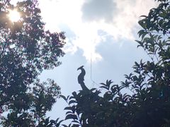 -敬亭山风景名胜区