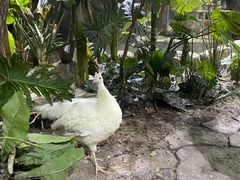 -海合安武汉极地海洋公园